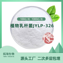 植物乳杆菌JYLP-326 授权STAR菌株 活性益生菌冻干粉 膳食补充剂