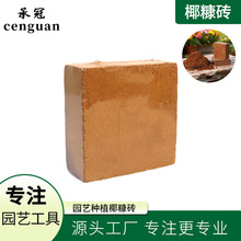 �ҹ��S�����M��Ҭ�u���ݰl���sÓ�}Ҭ���B��ͨ���������NֲҬ����