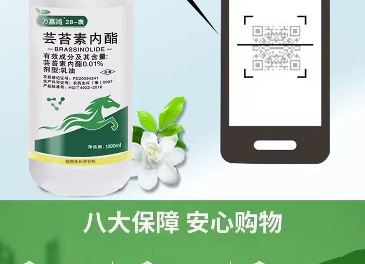 微信图片_20240425160246