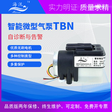 微型氣泵TBN調速打氣充氣抽打氣泵5V直流低干擾隔膜無油