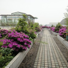 304/316P䓾T읲BwywȹzT