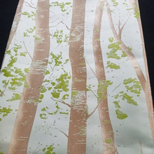 ½zc L֮ľɫỨ \rb SF