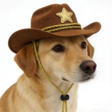 ����ţ��ñ����ǽ�z�y���°��K؈��ţ��ñ�����Ɍ�����ţ��ñ