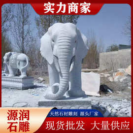 石雕大象一对汉白玉石象成对 庭院别墅门口大理石材小象大象厂家
