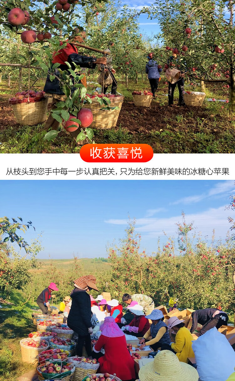 一键复制_20221007120324