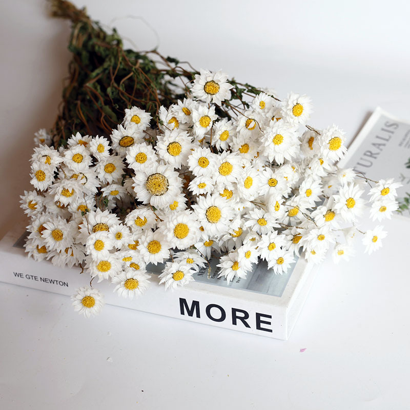 Flor seca Flor eterna Gypsophila Bola de oro No me olvides Flor seca Rosa hoja de eucalipto Pine Fruit Lover Grass al por mayor