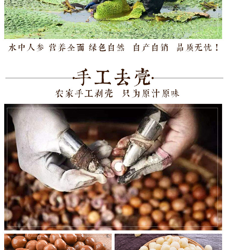 Fresh Gorgon Fruit Qian Shi 芡实 Hand Peeled Euryale Ferox Seeds Ready to Eat 500g key features