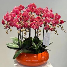 �����������m���Fˇ���ڴ���Ƶ�Ҿ��辰�m���Nֲ���Fˇ����