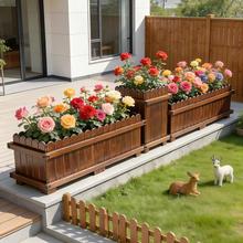 ���⻨�����ľ�Nֲ��ͥԺ���軨�������̨�N�����ش�̖�L����