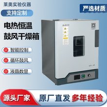 電熱恆溫鼓風干燥箱高溫工業烘箱烤箱熱風烘干機實驗室老化試驗箱