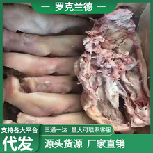 猪头肉批发新鲜冻品猪头肉猪半边脸去骨出秤高商用家用卤菜店用