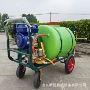 远程城市手推式绿化喷药机