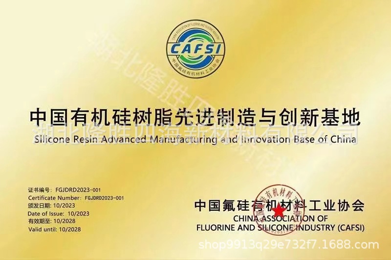 中国有机硅树脂先进制造与创新基地 (2).jpg