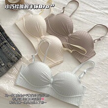 pŮٽzo玧Сؾ۔n@[Οoۃ