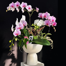 �����m���û����մ��p�ݸ߼�������ˇ�g��ƿ�������_����[��