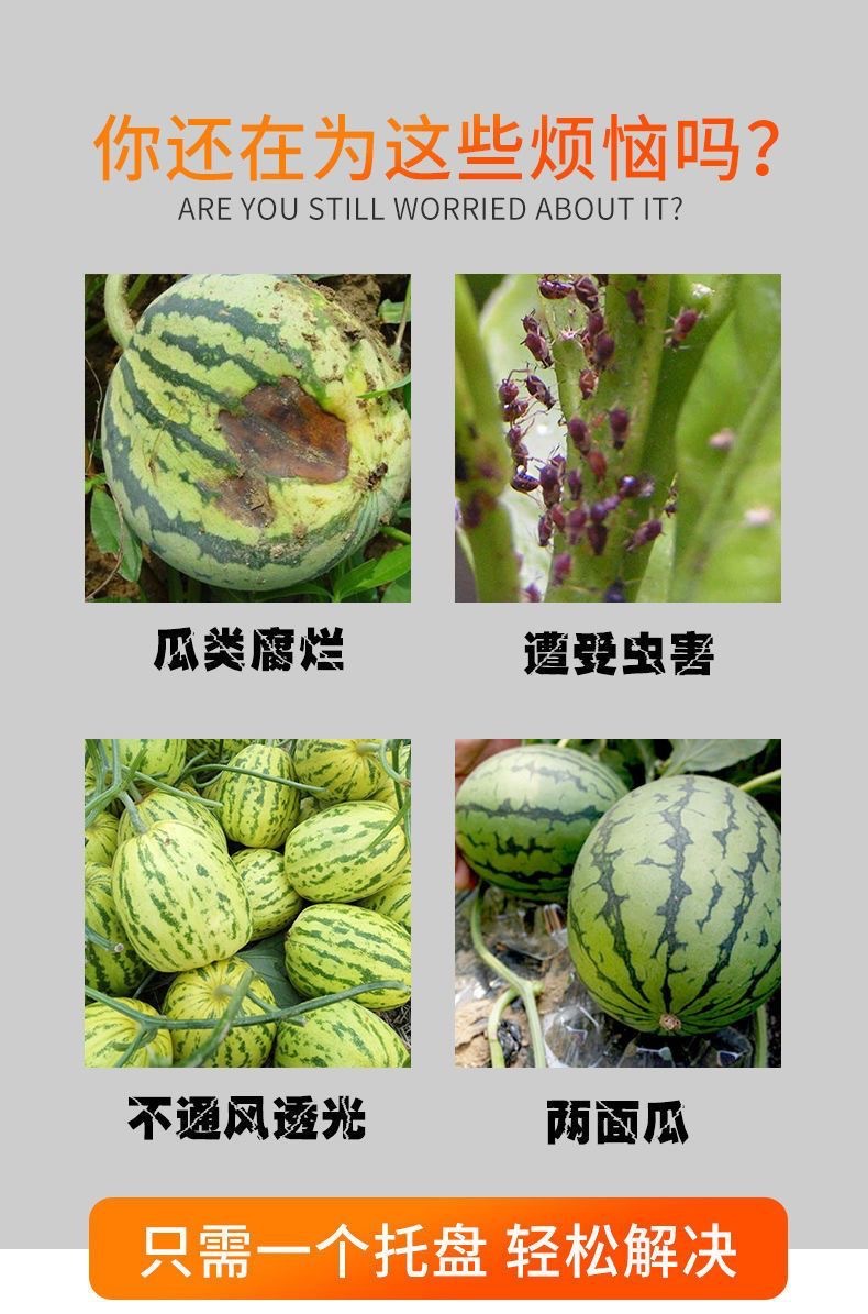 微信图片_20250526162044