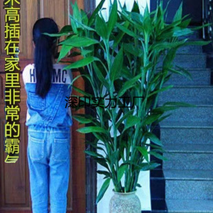 ���F��ˮ�Bˮ���^�����҃ȃ����՚���;Gֲ���܃����՚��b���