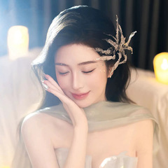 赫拉新款纯手工灵动串珠发饰对夹跟妆礼服时尚小众高级感新娘头饰