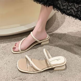 French Sandals for Women's Summer Outer Wear 2025 New Popular Style Soft-Soled Transparent Medium Thick Heel Slippers with Skirts
