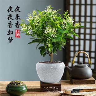 ҹ㻨̨ͥԺļݘҹֲﻨܮ_