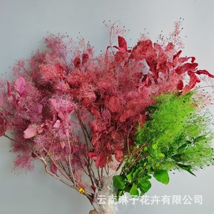 雾中情人干花永生花黄栌真花花材家居摆件花束配花婚庆装饰花批发-阿里巴巴