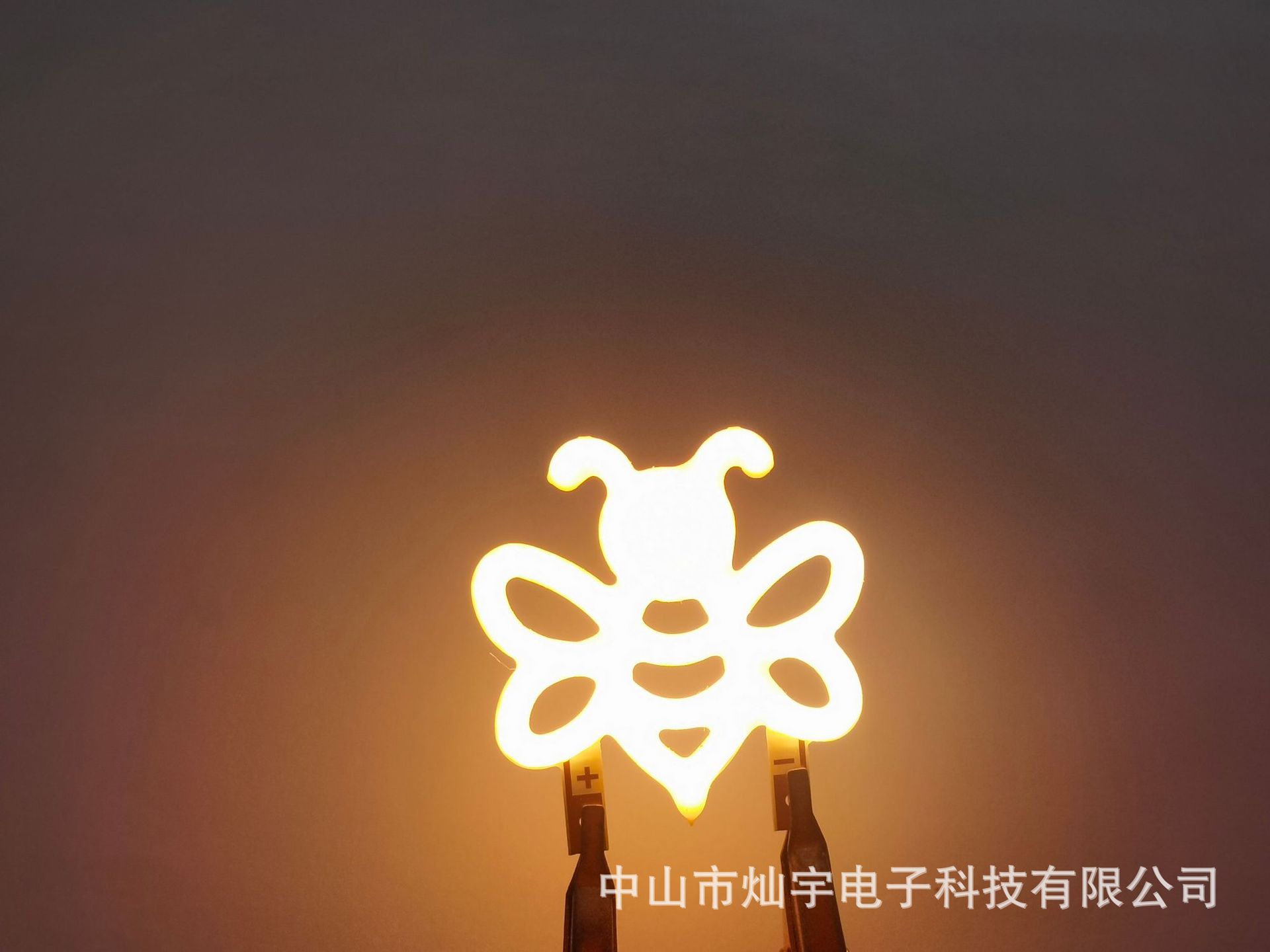 Abeja -- 31,4*30mm -- 3V -- 2200K