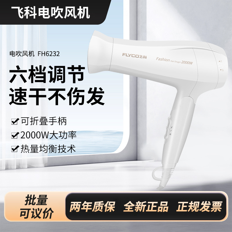 飞科吹风机FH6232家用大功率护发发廊大风力电吹风风筒发型2000W