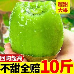�����������J����10�����r�殐������ˮ���t5�īJ����������]