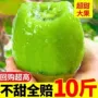 陕西周至新鲜奇异果