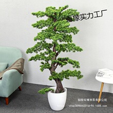 ����Gֲӭ�����_�h�ɴ��ͼ٘������b��҃ȿ͏d���ˮ��������