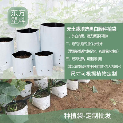 【工廠直銷】黑白膜 pe種植袋批發 蔬菜 草莓種植袋 通用現貨包郵