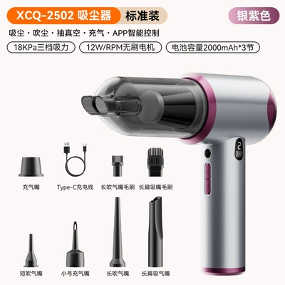 [Premium Selection] Car Vacuum Cleaner: Tozsoranlar - xcq-2502-silver-purple-standard-package