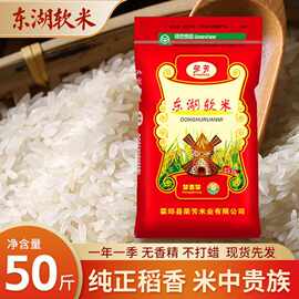 南方长粒香米饭自有种植基地丝苗王米口感香甜南方当季大米籼米