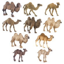跨境仿真沙漠骆驼实心静态模型摆件玩具动物园双峰单峰骆驼手办