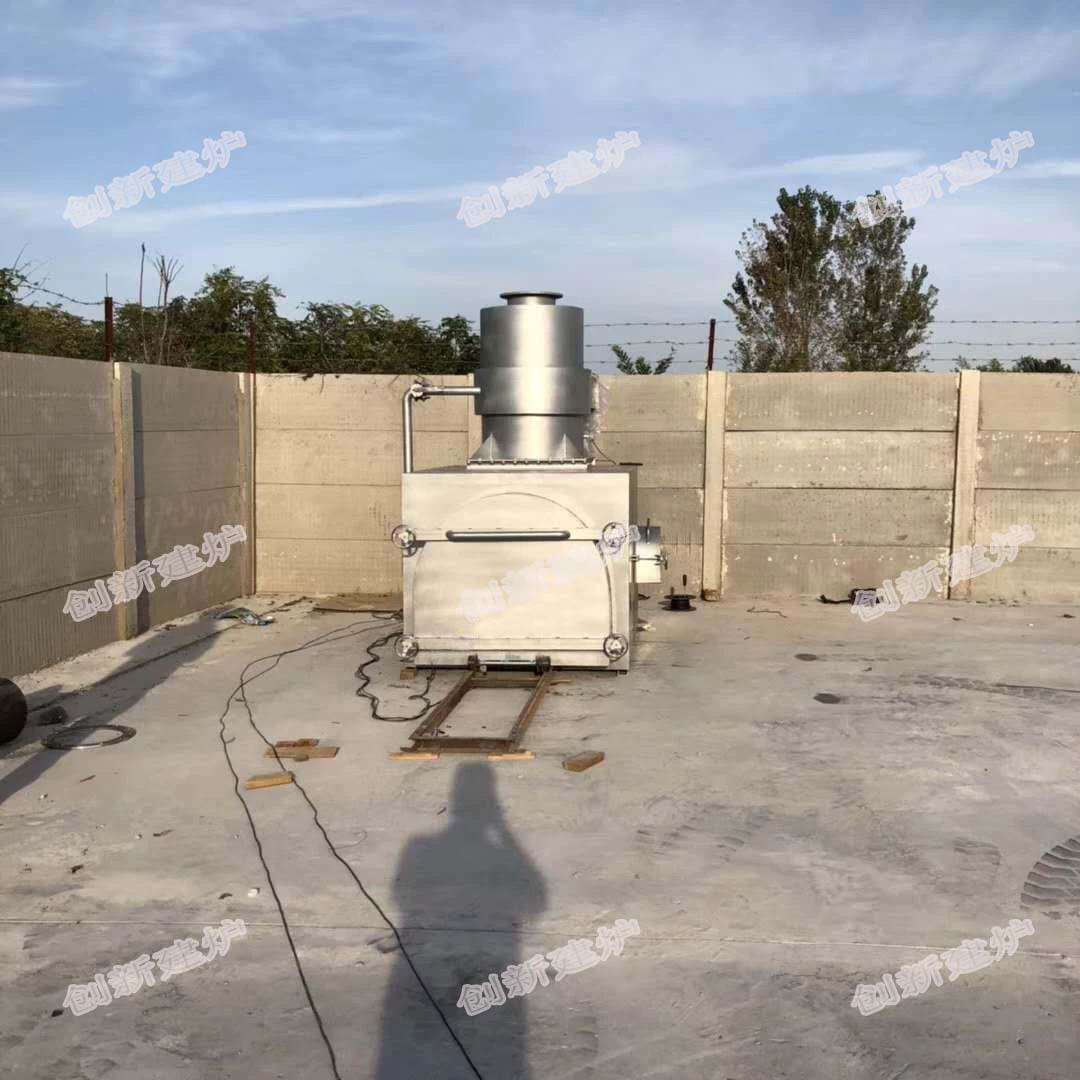 Крематоры Инсинераторы для домашних животных Туша животных Кошки и собаки Безвредное лечебное оборудование Прямые поставки с завода