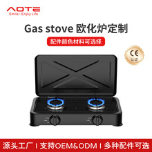 奥风 定制燃气灶跨境双眼外贸 gas stove 便携式节能环保 煤气灶