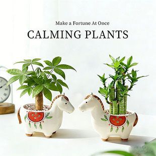 �R�ϰlؔС�R�¿�lؔ��С�����k���҃�����Gֲ����ؔ�R����ֶY