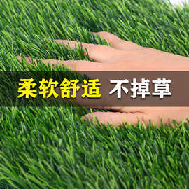 幼儿园仿真草皮户外工程围挡绿化人工地毯垫学校足球场人造假草坪