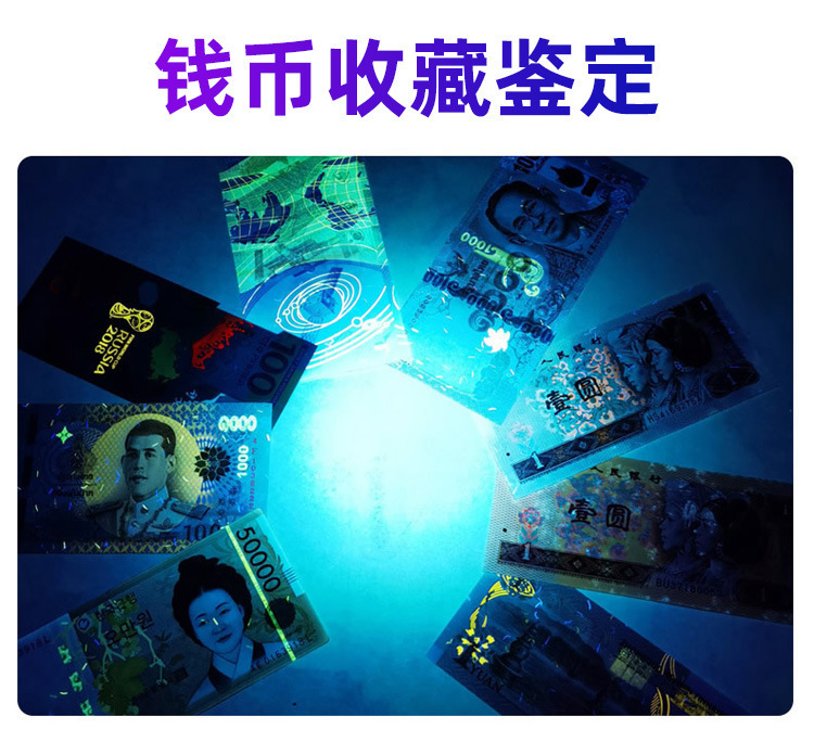 Uv Antique Banknote Detector Lamp Handheld Mini Purple Light Cat Moss Fluorescent Agent Bordeaux Solution Detection Rechargeable Flashlight
