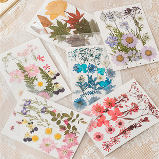 Cross-border Dried Flower Embossing Material Bag Face Petal Makeup Leaf Sticker Plant Specimen Real Flower Handmade DIY Material