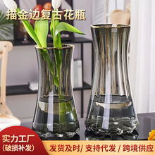 花瓶中古高级感水培鲜花瓶批发网红客厅摆件插花透明玻璃花瓶