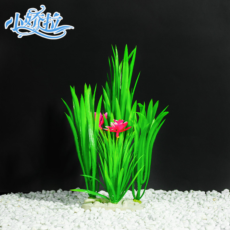 Venta directa de fábrica Venta caliente de plantas de acuario, orquídeas de hierro, pecera, paisajismo, flores falsas, suministros de decoración, plantas acuáticas de simulación