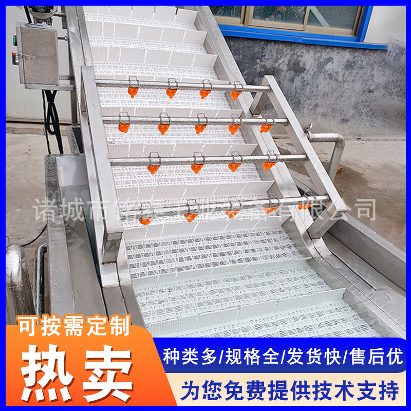 供应蔓越莓气泡果蔬清洗机 芒果气泡清洗机 土豆韭菜清洗机设备