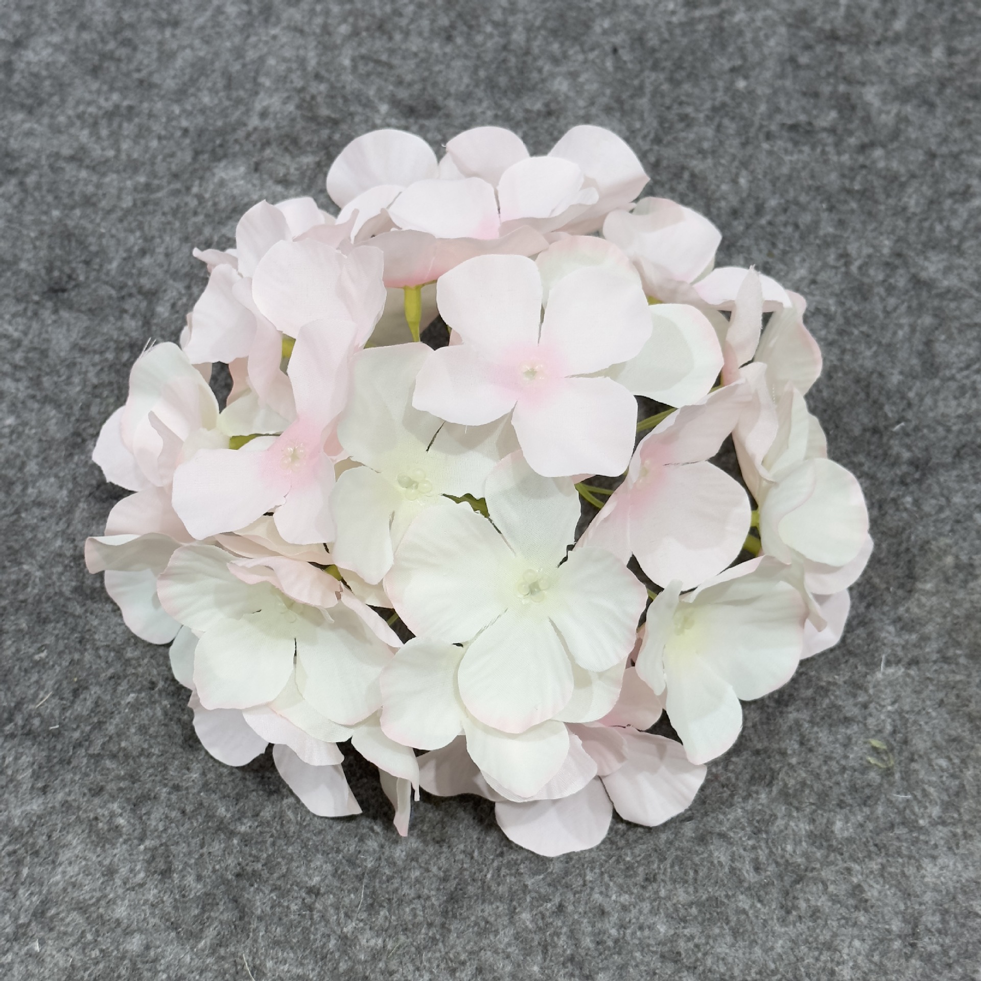 수국 꽃 머리 그라데이션 핑크