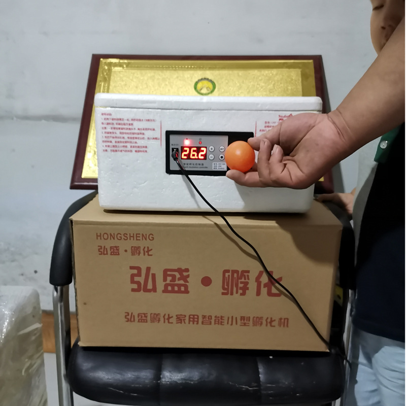 水床孵化机1.jpg