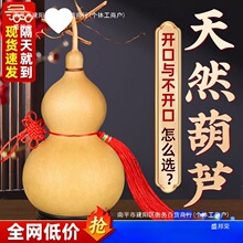 ��Ȼ���J�������J���Ї��Y�����_���T���T�͏d���P�[����̖����