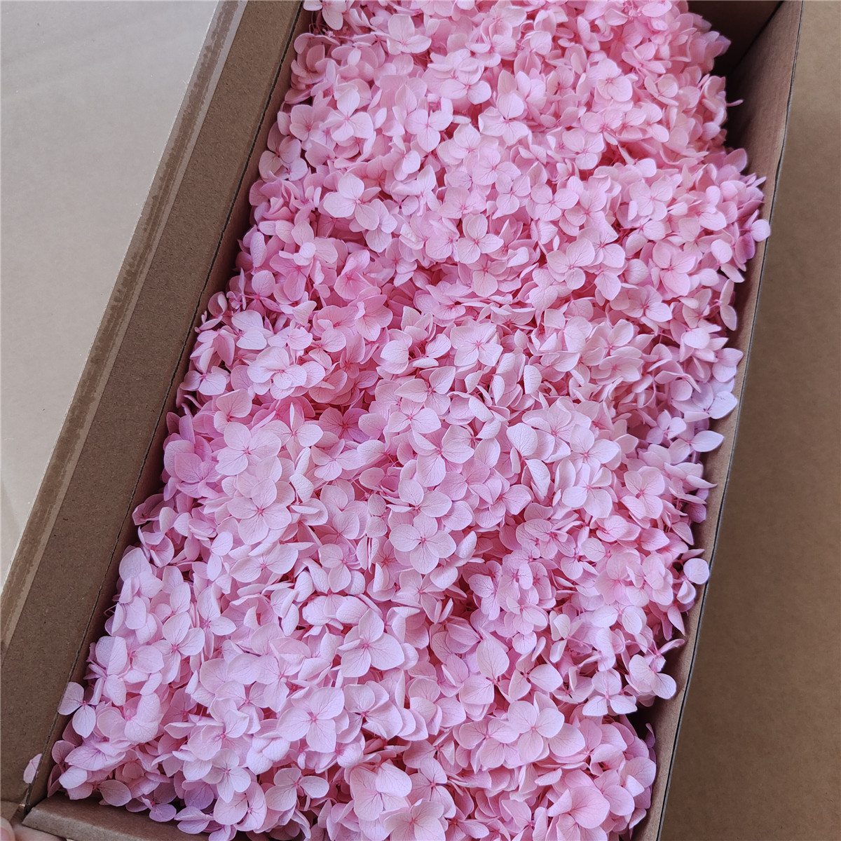 Flor eterna Hortensia Anna pequeña hoja flor seca flor real árbol de Navidad ventilador hecho a mano ramo DIY material paquete flor