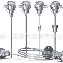 壁温热点偶WNRKG2-23(T) K分度Φ5 L=15m 引线长25m