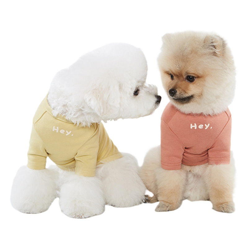 En stock nuevo ins Corea del Sur estilo coreano simple impreso T ropa para mascotas gato y perro tocando fondo ropa para mascotas