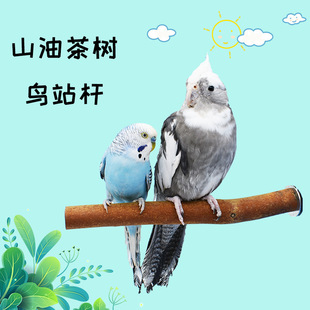 С�Bվ�U�W�^վ�ܘ�֦�Ͳ��ԭľվ���Bվ��ĥ��վ�����b�B�\վ��